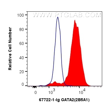 Flow cytometry (FC) experiment of K-562 cells using GATA2 Monoclonal antibody (67722-1-Ig)