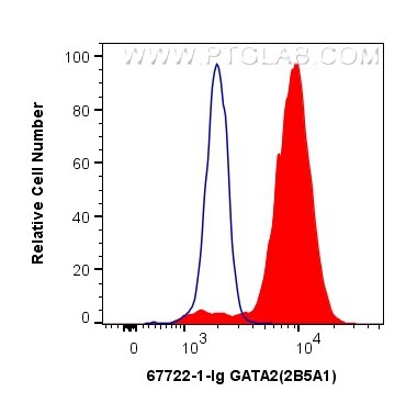 Flow cytometry (FC) experiment of K-562 cells using GATA2 Monoclonal antibody (67722-1-Ig)