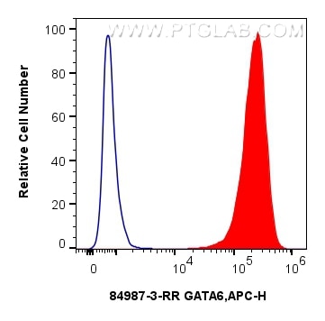 Flow cytometry (FC) experiment of HEK-293 cells using GATA6 Recombinant antibody (84987-3-RR)