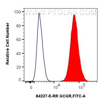 Flow cytometry (FC) experiment of HepG2 cells using GCGR Recombinant monoclonal antibody (84237-5-RR)