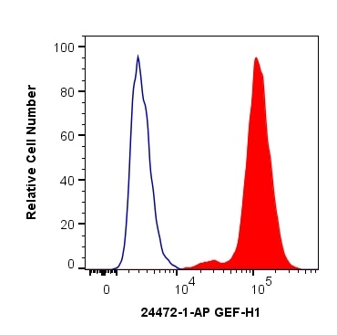Flow cytometry (FC) experiment of HEK-293T cells using GEF-H1 Polyclonal antibody (24472-1-AP)