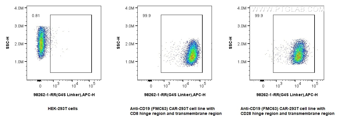 Flow cytometry (FC) experiment of Transfected HEK-293T cells using Anti-  GGGGS Linker Rabbit Recombinant Antibody (98262-1-RR)