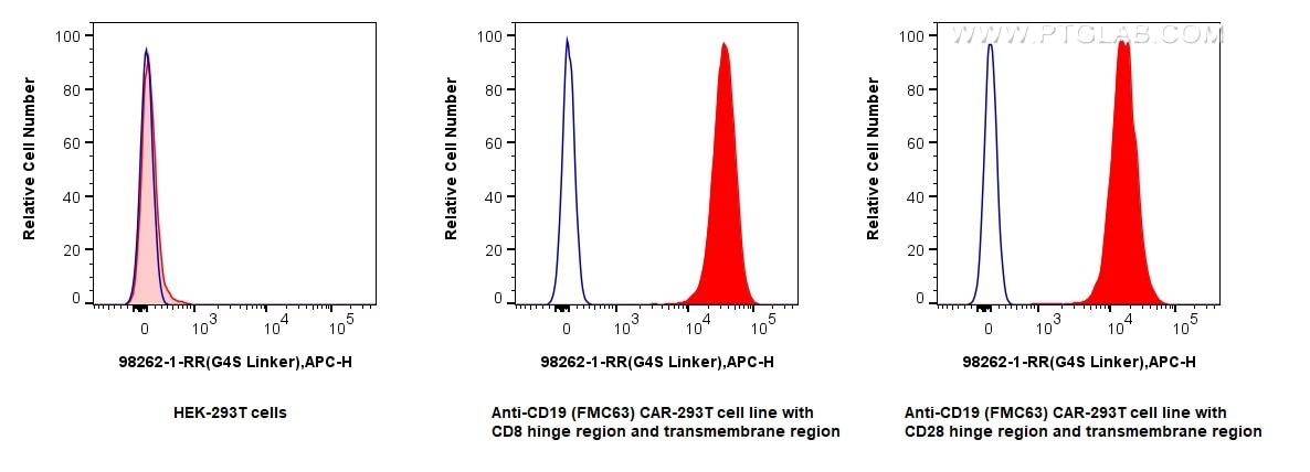 Flow cytometry (FC) experiment of Transfected HEK-293T cells using Anti-  GGGGS Linker Rabbit Recombinant Antibody (98262-1-RR)