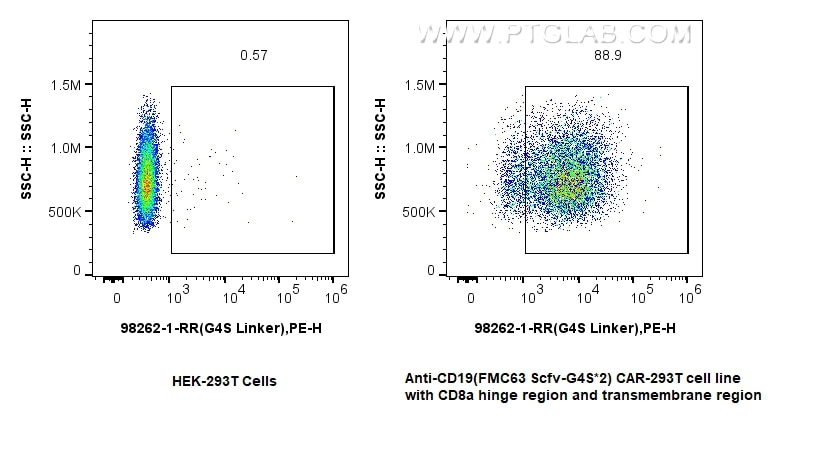 1x10^6 HEK-293T cells (left) or anti-CD19 (FMC63 Scfv-G4S*2) CAR-293T cell line (right) were surface stained with 0.25 ug Anti-GGGGS Linker Rabbit RecAb (98262-1-RR, Clone: 242306C8) and PE-Conjugated Goat Anti-Rabbit IgG(H+L). Cells were not fixed. Flow cytometry (FC) experiment of Transfected HEK-293T cells using Anti-GGGGS Linker Rabbit Recombinant Antibody (98262-1-RR)