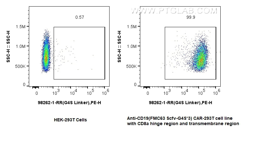 1x10^6 HEK-293T cells (left) or anti-CD19 (FMC63 Scfv-G4S*3) CAR-293T cell line (right) were surface stained with 0.25 ug Anti-GGGGS Linker Rabbit RecAb (98262-1-RR, Clone: 242306C8) and PE-Conjugated Goat Anti-Rabbit IgG(H+L). Cells were not fixed. Flow cytometry (FC) experiment of Transfected HEK-293T cells using Anti-GGGGS Linker Rabbit Recombinant Antibody (98262-1-RR)