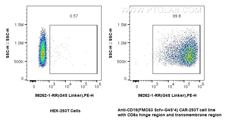 1x10^6 HEK-293T cells (left) or anti-CD19 (FMC63 Scfv-G4S*4) CAR-293T cell line (right) were surface stained with 0.25 ug Anti-GGGGS Linker Rabbit RecAb (98262-1-RR, Clone: 242306C8) and PE-Conjugated Goat Anti-Rabbit IgG(H+L). Cells were not fixed. Flow cytometry (FC) experiment of Transfected HEK-293T cells using Anti-GGGGS Linker Rabbit Recombinant Antibody (98262-1-RR)
