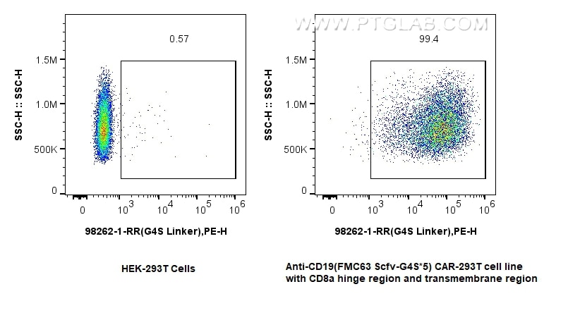 1x10^6 HEK-293T cells (left) or anti-CD19 (FMC63 Scfv-G4S*5) CAR-293T cell line (right) were surface stained with 0.25 ug Anti-GGGGS Linker Rabbit RecAb (98262-1-RR, Clone: 242306C8) and PE-Conjugated Goat Anti-Rabbit IgG(H+L). Cells were not fixed. Flow cytometry (FC) experiment of Transfected HEK-293T cells using Anti-GGGGS Linker Rabbit Recombinant Antibody (98262-1-RR)