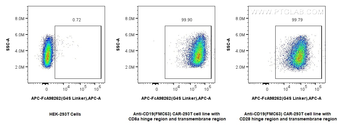 Flow cytometry (FC) experiment of Transfected HEK-293T cells using FcZero-rAb® APC Anti-GGGGS Linker Rabbit Recombina (APC-FcA98262)