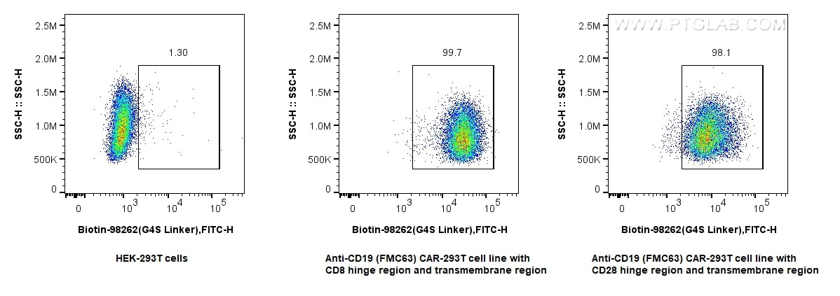 Flow cytometry (FC) experiment of Transfected HEK-293T cells using Biotin Anti-  GGGGS Linker Rabbit Recombinant Anti (Biotin-98262)