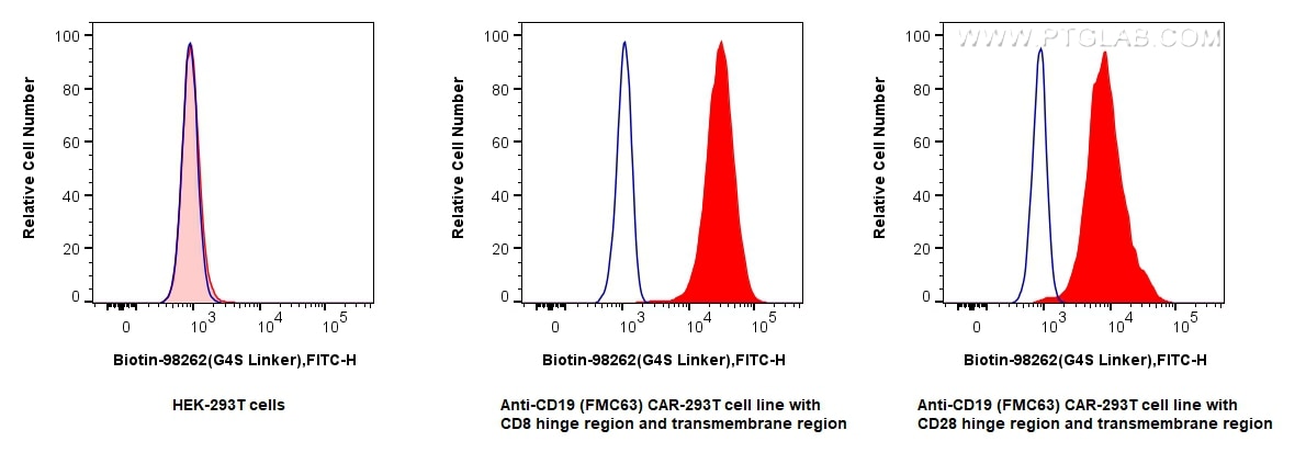 Flow cytometry (FC) experiment of Transfected HEK-293T cells using Biotin Anti-  GGGGS Linker Rabbit Recombinant Anti (Biotin-98262)