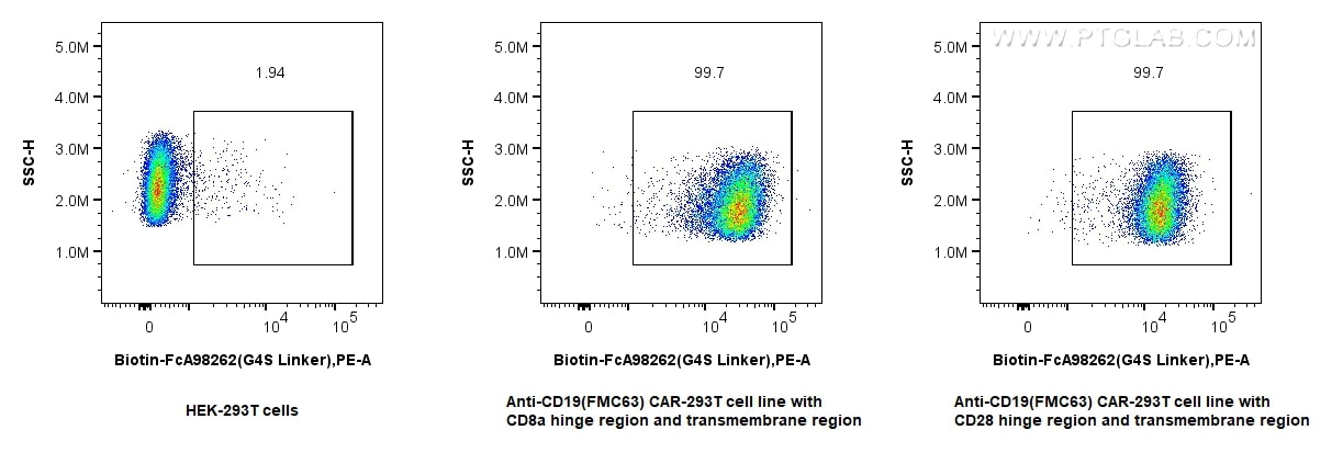 Flow cytometry (FC) experiment of Transfected HEK-293T cells using FcZero-rAb™ Biotin Anti-GGGGS Linker Rabbit Recomb (Biotin-FcA98262)