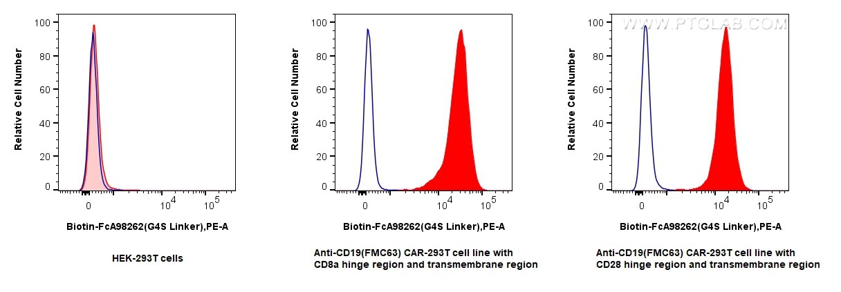 Flow cytometry (FC) experiment of Transfected HEK-293T cells using FcZero-rAb™ Biotin Anti-GGGGS Linker Rabbit Recomb (Biotin-FcA98262)