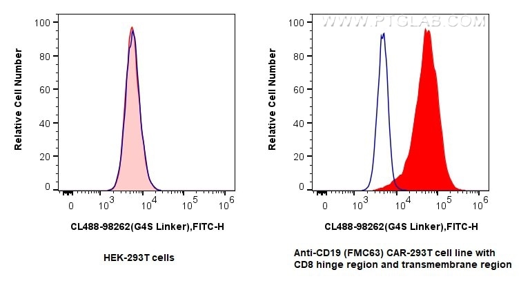Flow cytometry (FC) experiment of Transfected HEK-293T cells using CoraLite® Plus 488 Anti-  GGGGS Linker Rabbit Reco (CL488-98262)