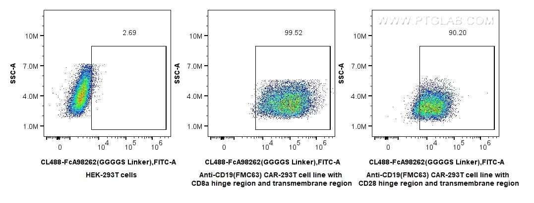 Flow cytometry (FC) experiment of Transfected HEK-293T cells using FcZero-rAb® CoraLite® Plus 488 Anti-GGGGS Linker R (CL488-FcA98262)