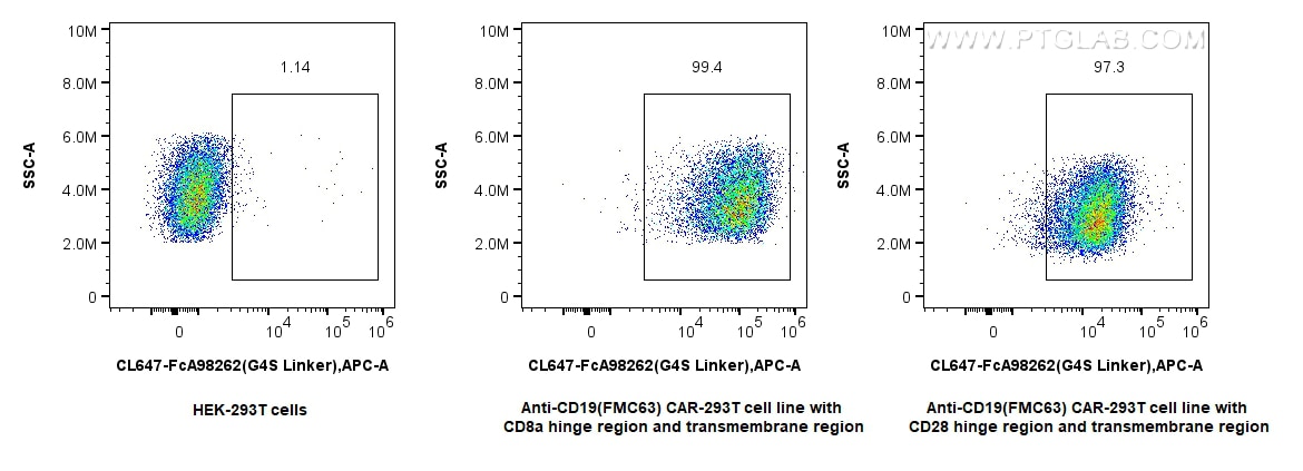 Flow cytometry (FC) experiment of Transfected HEK-293T cells using FcZero-rAb™ CoraLite® Plus 647 Anti-GGGGS Linker R (CL647-FcA98262)