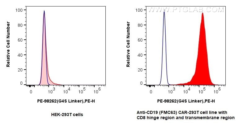 Flow cytometry (FC) experiment of Transfected HEK-293T cells using PE Anti-  GGGGS Linker Rabbit Recombinant Antibody (PE-98262)
