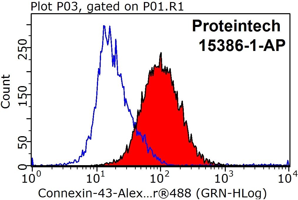 Flow cytometry (FC) experiment of Jurkat cells using Connexin-43 Polyclonal antibody (15386-1-AP)