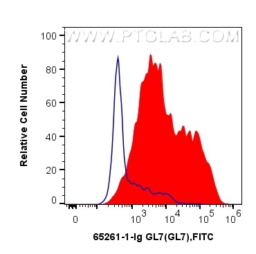 Flow cytometry (FC) experiment of mouse splenocytes using Anti-Mouse GL7 (GL-7) (65261-1-Ig)