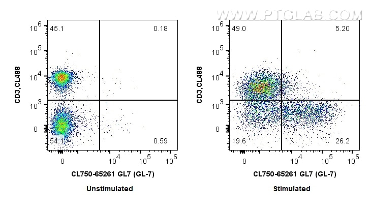 Flow cytometry (FC) experiment of mouse splenocytes using CoraLite® Plus 750 Anti-Mouse GL7 (GL-7) (CL750-65261)