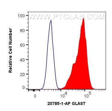 Flow cytometry (FC) experiment of Neuro-2a cells using GLAST Polyclonal antibody (20785-1-AP)
