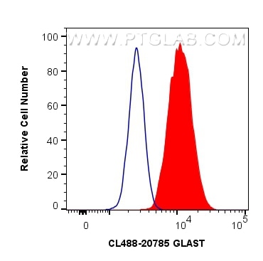 Flow cytometry (FC) experiment of Neuro-2a cells using CoraLite® Plus 488-conjugated GLAST Polyclonal ant (CL488-20785)