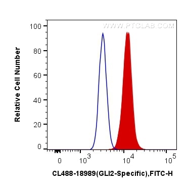 Flow cytometry (FC) experiment of HepG2 cells using CoraLite® Plus 488-conjugated GLI2-Specific Polycl (CL488-18989)