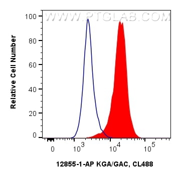 Flow cytometry (FC) experiment of HeLa cells using KGA/GAC Polyclonal antibody (12855-1-AP)