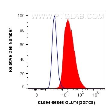 Flow cytometry (FC) experiment of HEK-293 cells using CoraLite®594-conjugated GLUT4 Monoclonal antibody (CL594-66846)