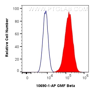 Flow cytometry (FC) experiment of U-87 MG cells using GMF Beta Polyclonal antibody (10690-1-AP)