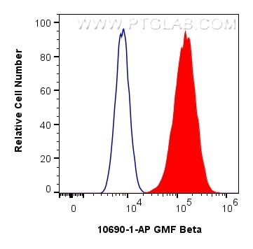 FC experiment of U-87 MG using 10690-1-AP