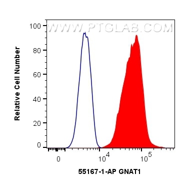 Flow cytometry (FC) experiment of HeLa cells using GNAT1 Polyclonal antibody (55167-1-AP)