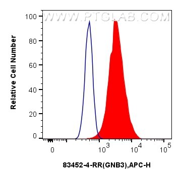 GNB3