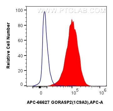 Flow cytometry (FC) experiment of HepG2 cells using APC-conjugated GORASP2 Monoclonal antibody (APC-66627)