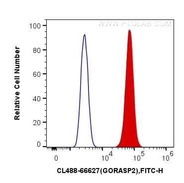 Flow cytometry (FC) experiment of HepG2 cells using CoraLite® Plus 488-conjugated GORASP2 Monoclonal a (CL488-66627)