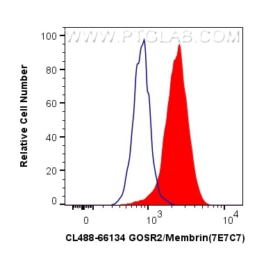 Flow cytometry (FC) experiment of Jurkat cells using CoraLite® Plus 488-conjugated GOSR2/Membrin Monocl (CL488-66134)