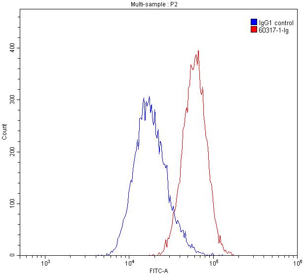 Flow cytometry (FC) experiment of HepG2 cells using GOT1 Monoclonal antibody (60317-1-Ig)