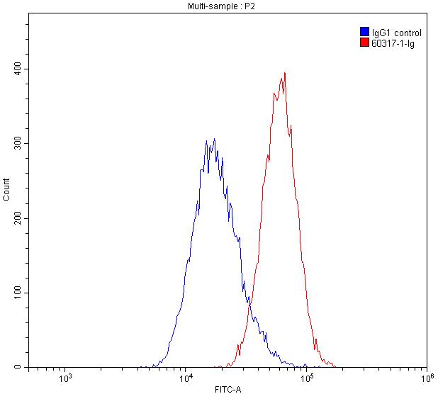 FC experiment of HepG2 using 60317-1-Ig