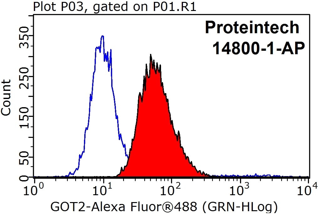 Flow cytometry (FC) experiment of HEK-293 cells using GOT2 Polyclonal antibody (14800-1-AP)