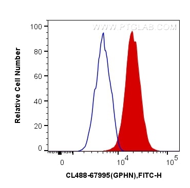 Flow cytometry (FC) experiment of HeLa cells using CoraLite® Plus 488-conjugated GPHN Monoclonal anti (CL488-67995)