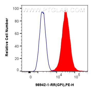 FC experiment of A549 using 98942-1-RR (same clone as 98942-1-PBS) Flow cytometry (FC) experiment of A549 cells using Anti-Human GPI Rabbit Recombinant Antibody (98942-1-RR)