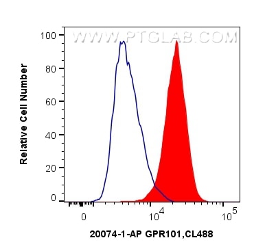 Flow cytometry (FC) experiment of HEK-293 cells using GPR101-Specific Polyclonal antibody (20074-1-AP)