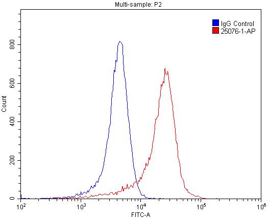 FC experiment of SH-SY5Y using 25076-1-AP