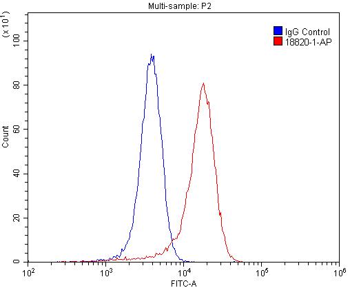 Flow cytometry (FC) experiment of SH-SY5Y cells using GPR142 Polyclonal antibody (18820-1-AP)
