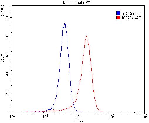 FC experiment of SH-SY5Y using 18820-1-AP