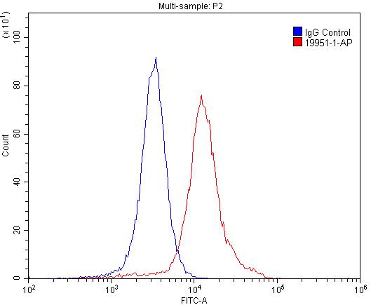Flow cytometry (FC) experiment of SH-SY5Y cells using GPR22 Polyclonal antibody (19951-1-AP)