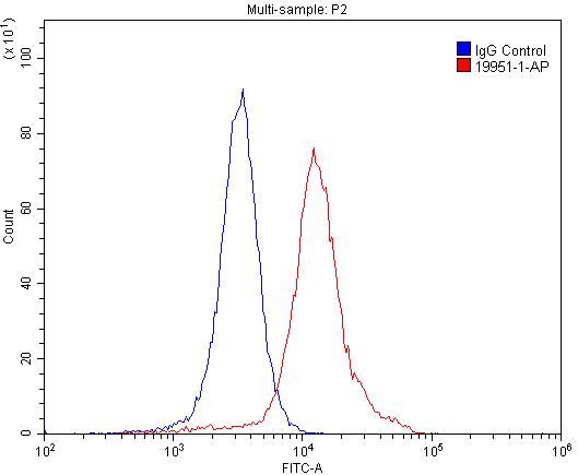 FC experiment of SH-SY5Y using 19951-1-AP