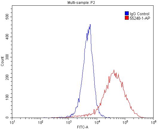 Flow cytometry (FC) experiment of A549 cells using GPR35 Polyclonal antibody (55248-1-AP)
