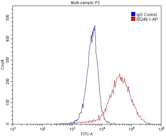 FC experiment of A549 using 55248-1-AP