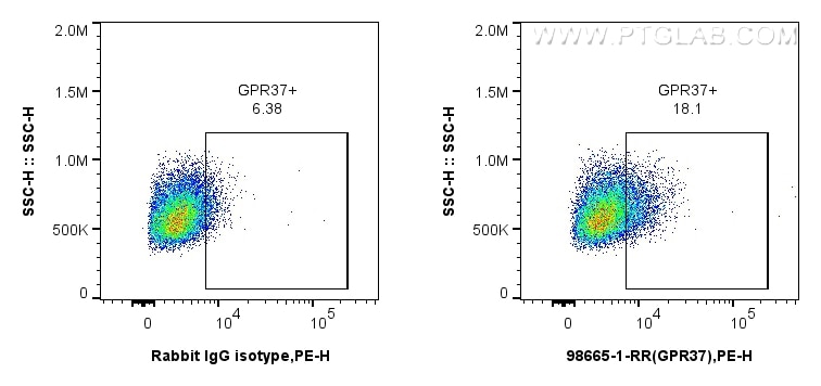 Flow cytometry (FC) experiment of THP-1 cells using Anti-Human GPR37 Rabbit Recombinant Antibody (98665-1-RR)