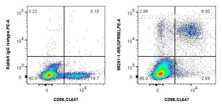 Flow cytometry (FC) experiment of human peripheral blood leukocytes using Anti-Human GPR56 Rabbit Recombinant Antibody (98291-1-RR)